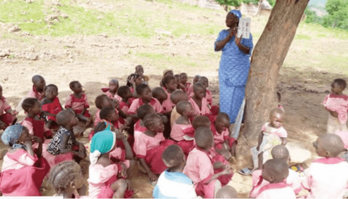 School children learning under a tree