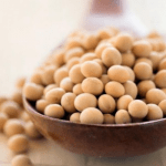 benefits of soybean, fish consumption