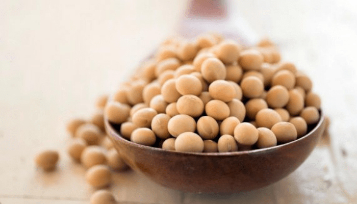 benefits of soybean, fish consumption