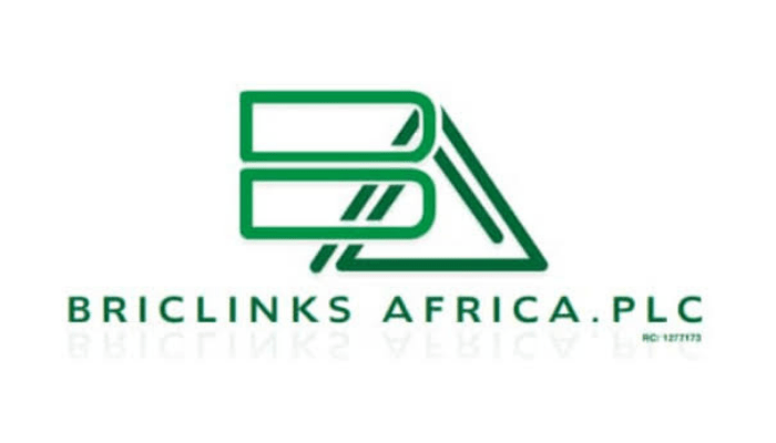 Briclinks Africa