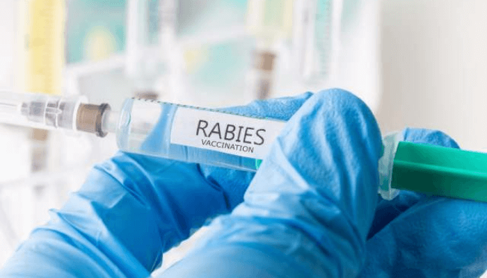 anti-rabies vaccination