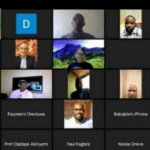 Webinar participants