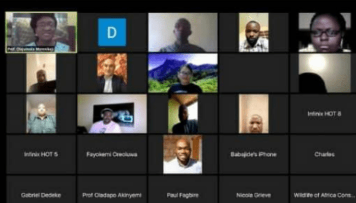 Webinar participants