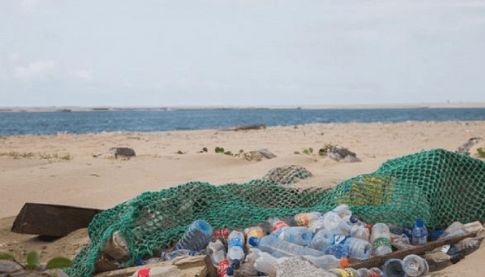 beach cleanup