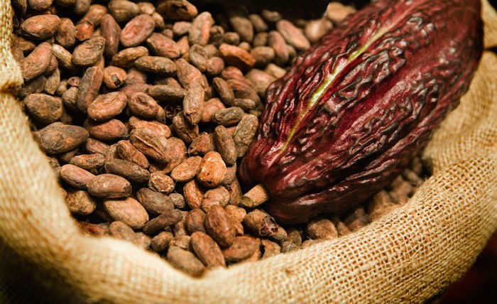 Nigeria re-enters Ghana’s cocoa market as Sunbeth secures historic license