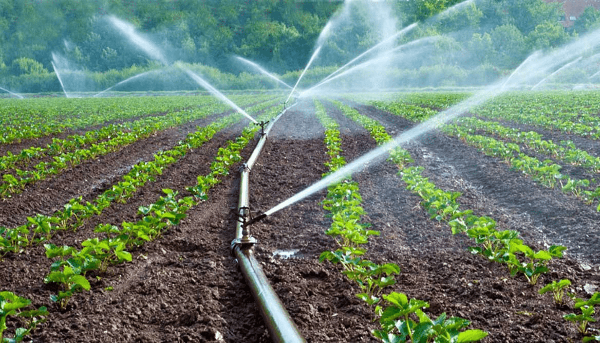 Irrigation