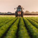 Agribusiness training in Nigeria