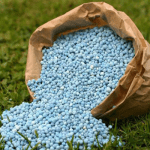 urea fertilizer