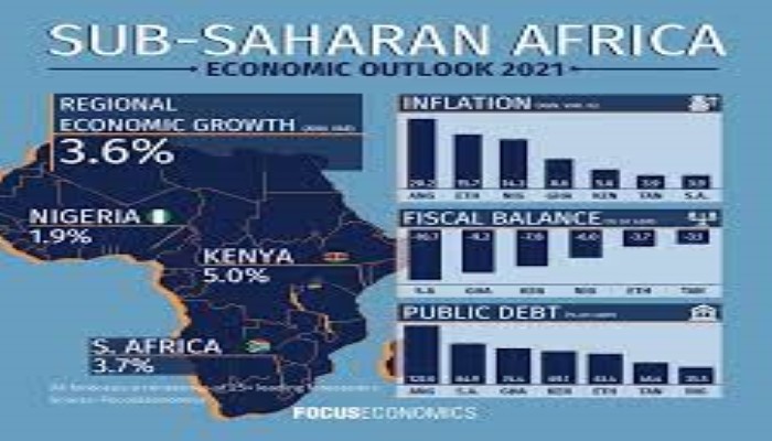 Sub-Saharan Africa Economic Outlook
