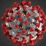 Delta variant of Covid-19