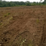 New investments seen as FG partners W/Bank to register land titles