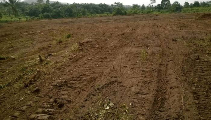 New investments seen as FG partners W/Bank to register land titles