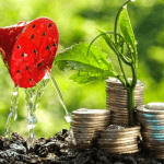 Financial management