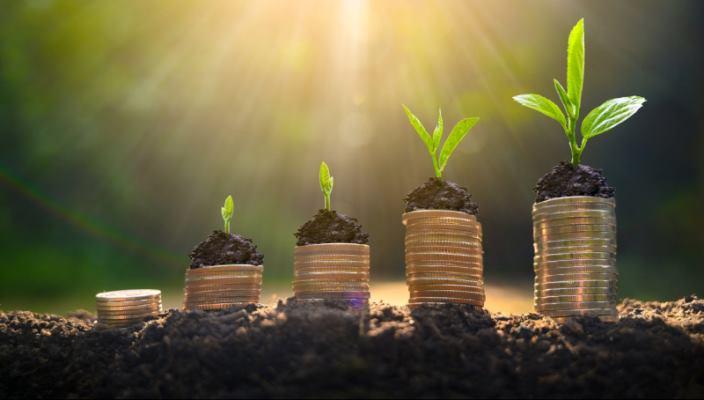 Founder dependence: Preventing your business from dying in your absence