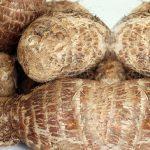 Combating COVID-19 with cocoyam: Looking inwards