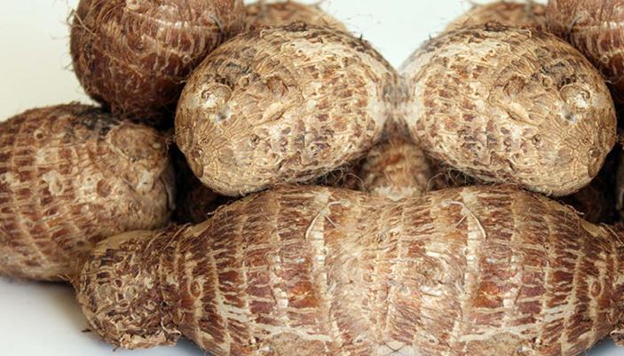 Combating COVID-19 with cocoyam: Looking inwards