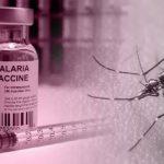 Malaria Vaccine