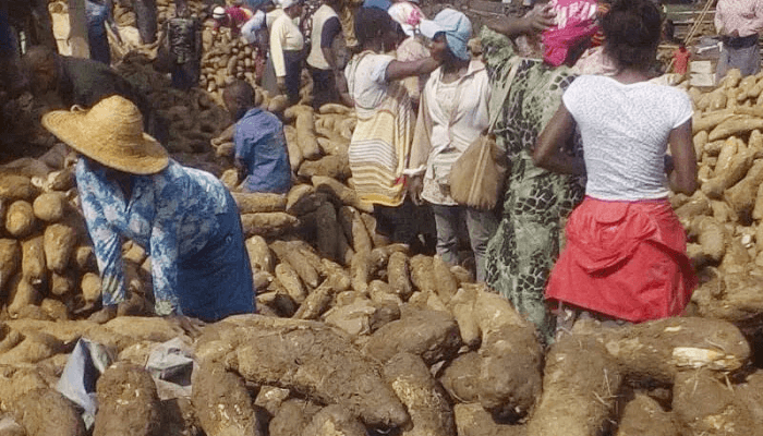 Nigerian Food Exports