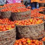 Price of tomatoes in Jos