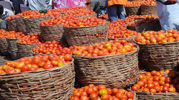 Price of tomatoes in Jos