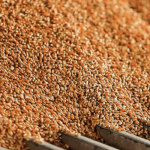 Northern Nigeria Flour Mills