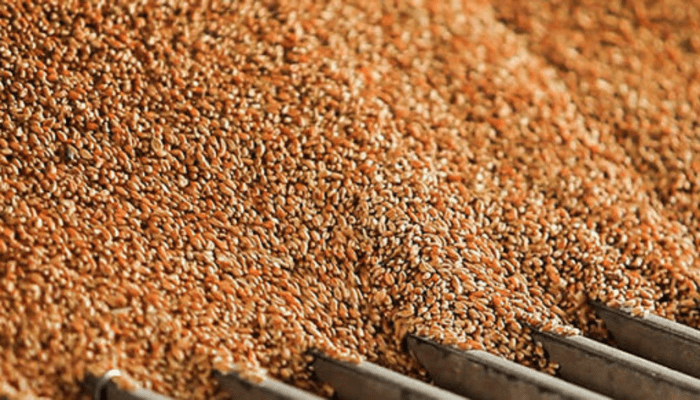 Northern Nigeria Flour Mills