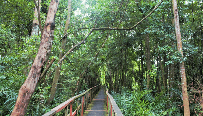 Lekki conservative center