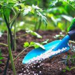 Agriculture Summit Africa 2021 with Sterling