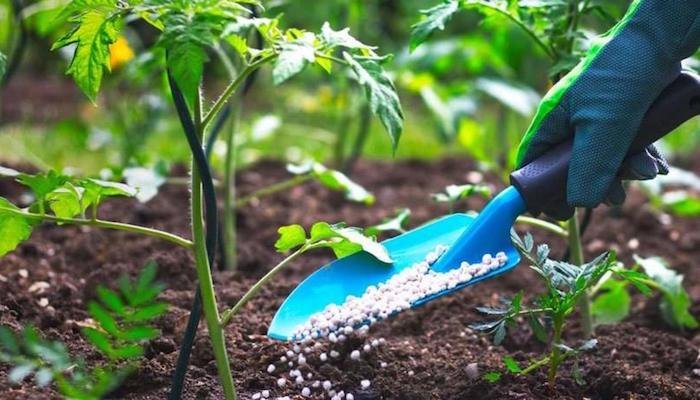 Agriculture Summit Africa 2021 with Sterling