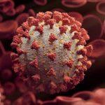 COVID-19: Edo raises alarm over spread among younger population