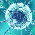 Epidemic preparedness: Leadership, increased funding strengthens health systems