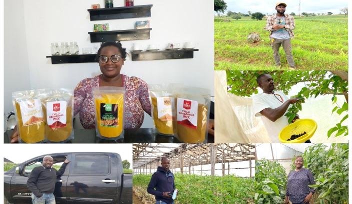 For educated Jos farmers, agric hustle pays better than white-collar jobs
