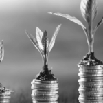 Investment financial services