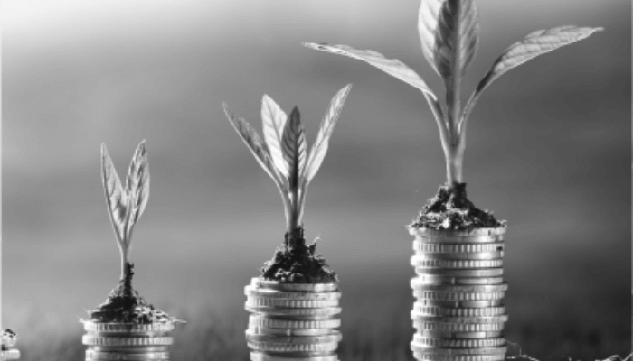 Investment financial services