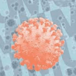 New coronavirus variant Omicron