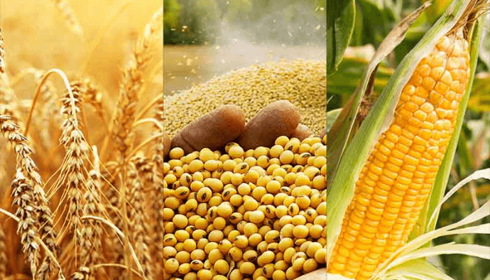Nigeria's agro exports