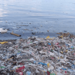 Pollution in Nigeria