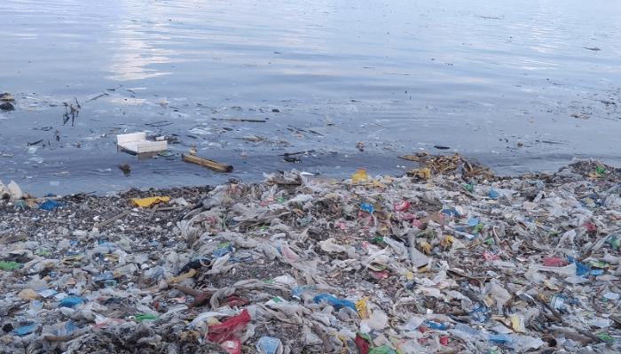 Pollution in Nigeria