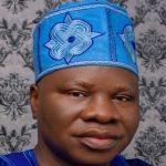 Businesses will suffer if VAT is decentralised – Fast food chain owner