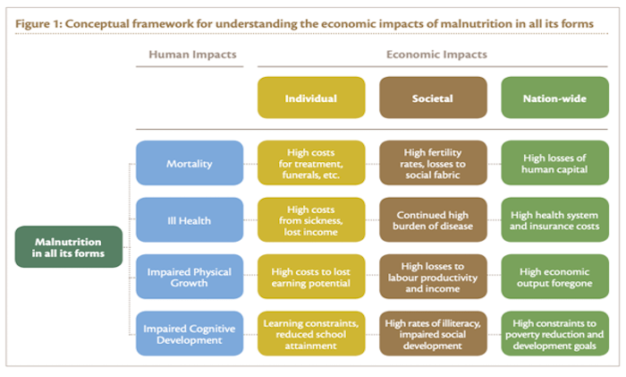 How Micronutrient Fortification Index makes food processors accountable