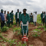 Training of cassava farmers