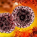 Effective diet against the scourge of cancer