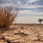 Climate change and the role of public-private partnerships in diversifying Nigeria’s economy