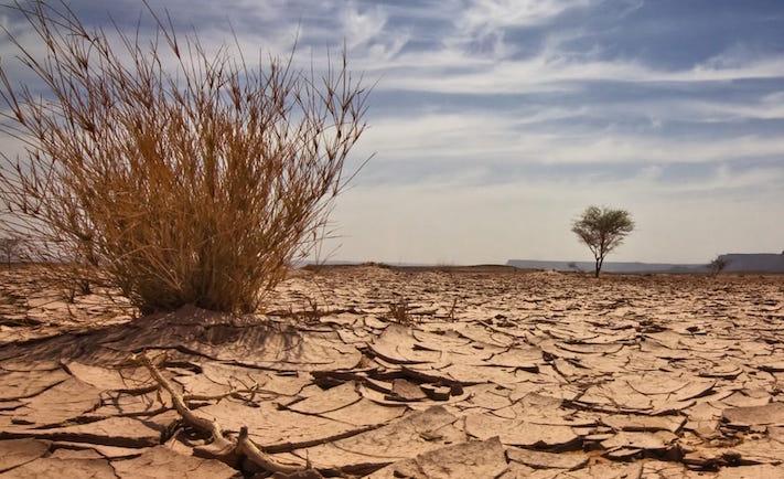 Climate change and the role of public-private partnerships in diversifying Nigeria’s economy