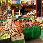 World Food Day: GAIN to invest $250m in food systems in Nigeria, others