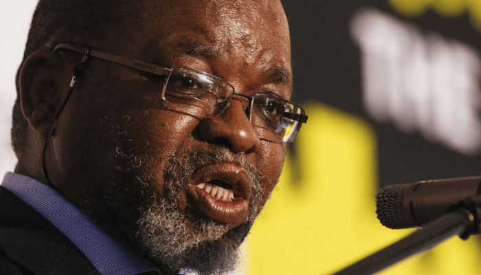 Gwede Mantashe