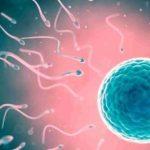 Genetic Infertility
