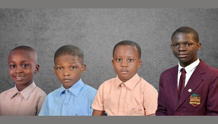 International Maths Olympiad winner