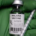 Malaria Vaccine