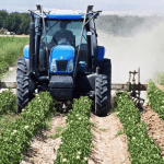 Nigerian agriculture